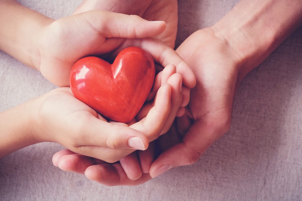Hands of a child and an adult.