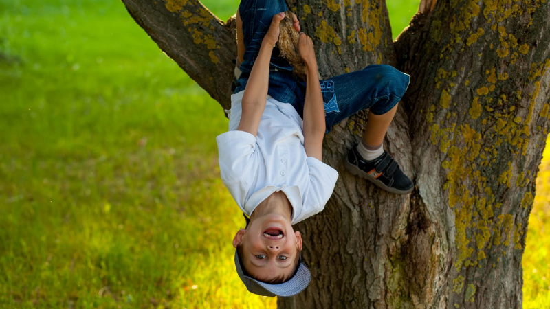 Pieni poika roikkuu puussa pää alaspäin.