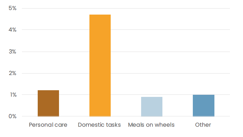 Figure showing that the care services most commonly used among older Finns are those helping with domestic tasks.