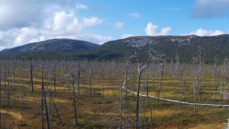 Pyhän Noitatunturin huippu.
