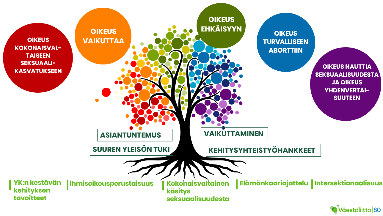 Oikeus nauttia seksuaalisuudesta ja oikeus yhdenvertaisuuteen Oikeus turvalliseen aborttiin Oikeus kokonaisvaltaiseen seksuaalikasvatukseen Oikeus ehkäisyyn Oikeusvaikuttaa puun yläosassa. Rungossa ASIANTUNTEMUS SUUREN YLEISÖN TUKI VAIKUTTAMINEN KEHITYSYHTEISTYÖHANKKEET juuressa ASIANTUNTEMUS SUUREN YLEISÖN TUKI VAIKUTTAMINEN KEHITYSYHTEISTYÖHANKKEET YK:n kestävän kehityksen tavoitteet Ihmisoikeusperustaisuus Kokonaisvaltainen käsitys seksuaalisuudesta Elämänkaariajattelu Intersektionaalisuus