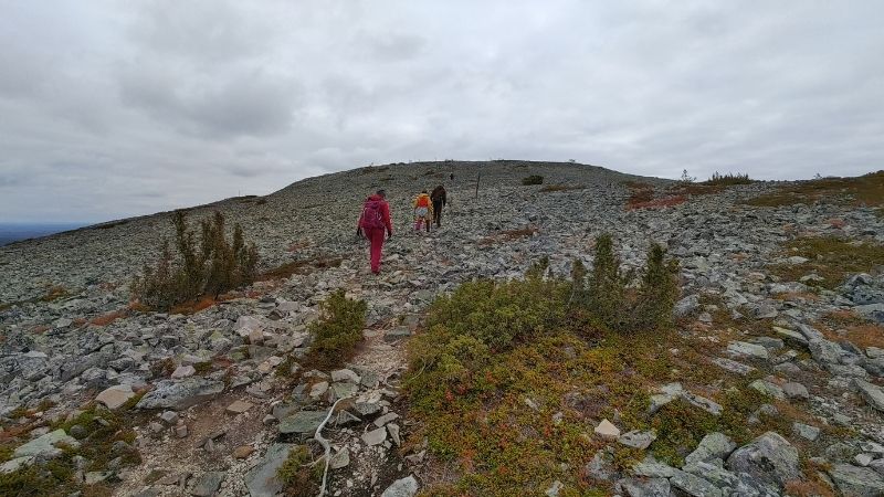 Vaellus Pyhätunturilla.