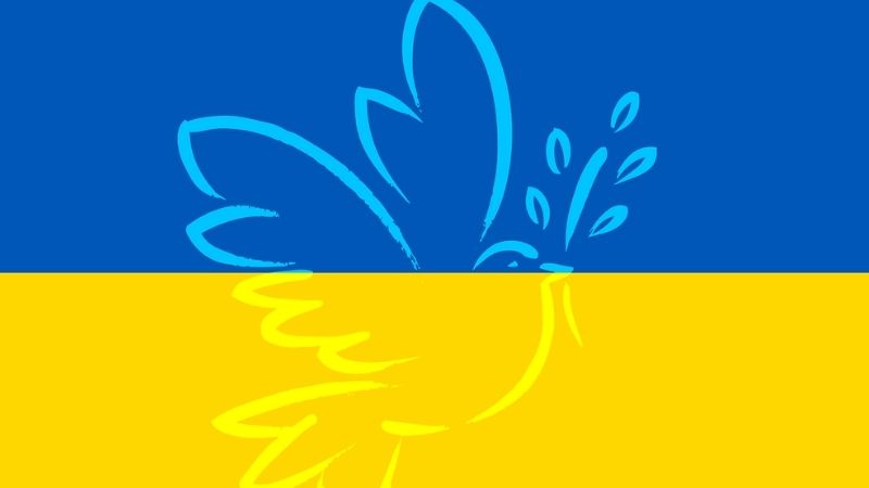 Rauhankyyhky Ukrainan lipun päällä.