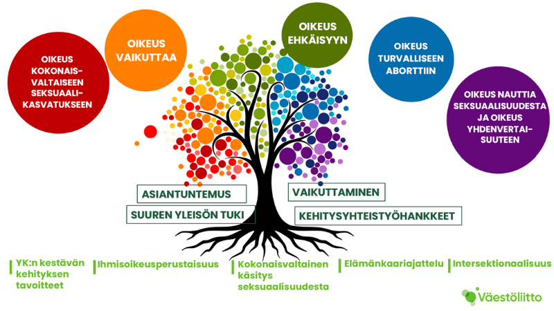 Oikeus nauttia seksuaalisuudesta ja oikeus yhdenvertaisuuteen Oikeus turvalliseen aborttiin Oikeus kokonaisvaltaiseen seksuaalikasvatukseen Oikeus ehkäisyyn Oikeusvaikuttaa puun yläosassa. Rungossa ASIANTUNTEMUS SUUREN YLEISÖN TUKI VAIKUTTAMINEN KEHITYSYHTEISTYÖHANKKEET juuressa ASIANTUNTEMUS SUUREN YLEISÖN TUKI VAIKUTTAMINEN KEHITYSYHTEISTYÖHANKKEET YK:n kestävän kehityksen tavoitteet Ihmisoikeusperustaisuus Kokonaisvaltainen käsitys seksuaalisuudesta Elämänkaariajattelu Intersektionaalisuus