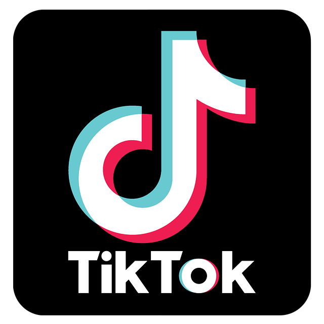 tiktok logo